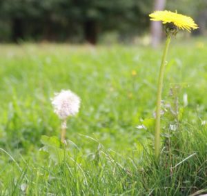 scritto_signature_de_marque_redaction_angers_nantes_