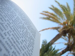 Scritti_article_bertrand_belin_blog_